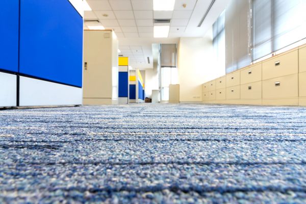 Business Carpet Cleaning in Sun City West