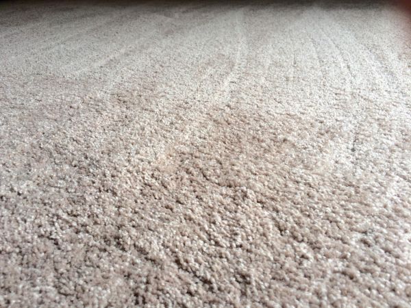 Plush Carpet Installation in Sun City West
