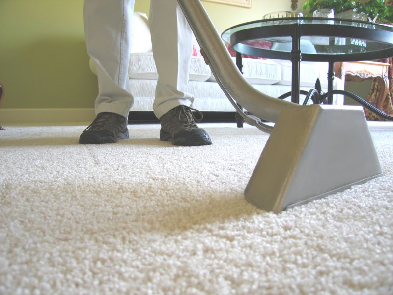 Clean Carpet, Healthy Home